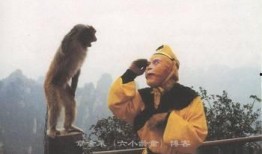六小龄童开讲啦视频,猴王传奇背后的故事与人生感悟