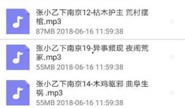 张小乙下南京全集视频,全景记录南京风土人情