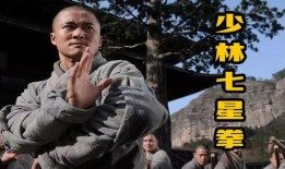 七星拳视频,视频教学带你领略传统武术魅力