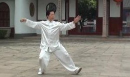 42式太极拳视频教程,入门到精通的实战指南