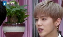 鹿晗热巴小甜饼视频