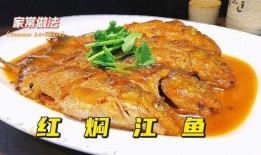 红焖鱼的做法视频,家常美味轻松做