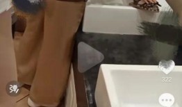 小便的视频,一场奇妙的生理现象之旅