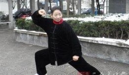 42式太极拳视频教程,入门到精通的实战指南