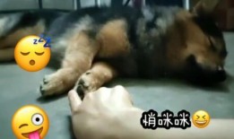 挠脚底板视频,轻松缓解疲劳，促进健康生活