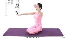 瑜伽训练视频教程,轻松入门，循序渐进的身心放松之旅