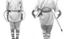 七星拳视频,视频教学带你领略传统武术魅力