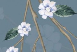 贴墙纸视频教程全集,视频教程全集精华汇总