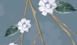 贴墙纸视频教程全集,视频教程全集精华汇总