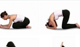 瑜伽训练视频教程,轻松入门，循序渐进的身心放松之旅