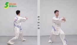 42式太极拳视频教程,入门到精通的实战指南