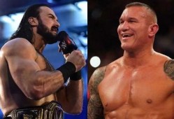 毒蛇蓝迪奥顿视频,视频中的惊险瞬间与生存智慧