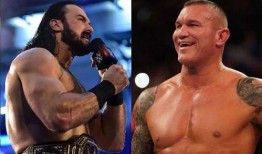 毒蛇蓝迪奥顿视频,视频中的惊险瞬间与生存智慧