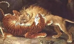 草原七雄狮子联盟视频,七雄共筑狮子荣耀传奇