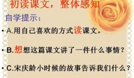 我不能失信教学视频,践行教育使命——揭秘“我不能失信”教学视频