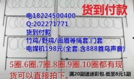 套画眉鸟最新视频,技巧与心得分享