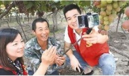 2018成人视频,年度盘点与行业洞察