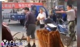 捅小鸡视频,捅小鸡视频引发伦理争议