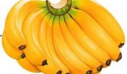 香视频蕉,甜蜜生活新篇章